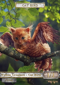 Cat Bird #1